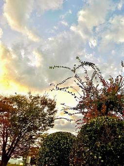 風景 空,夕焼け,夕暮れの写真素材