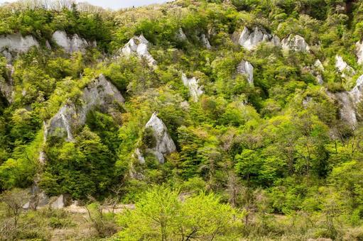 白岩の春⑹ 白岩の春⑹の写真