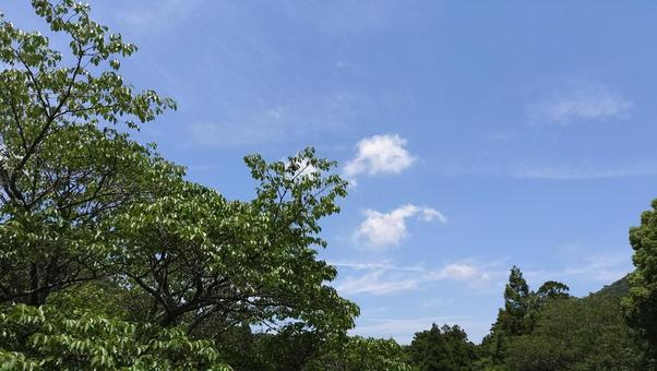 晴れた日の山の風景　静岡 山,青空,白い雲の写真素材
