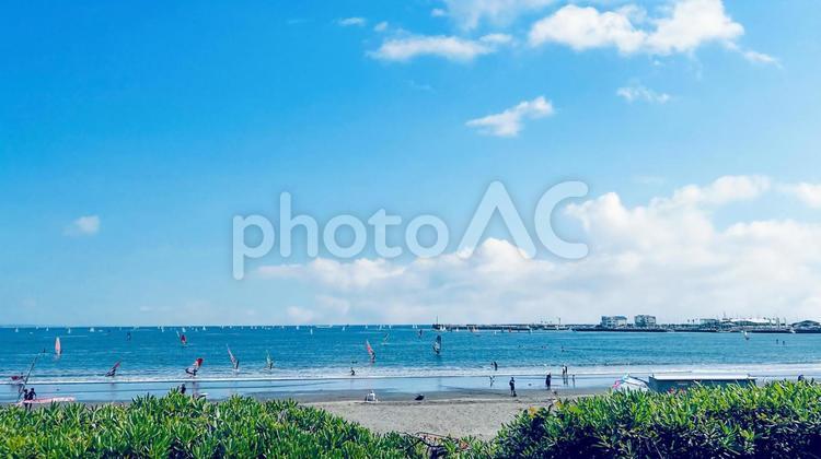湘南の海で過ごす人々と雄大な青空と青い海 海辺,海岸,砂浜の写真素材
