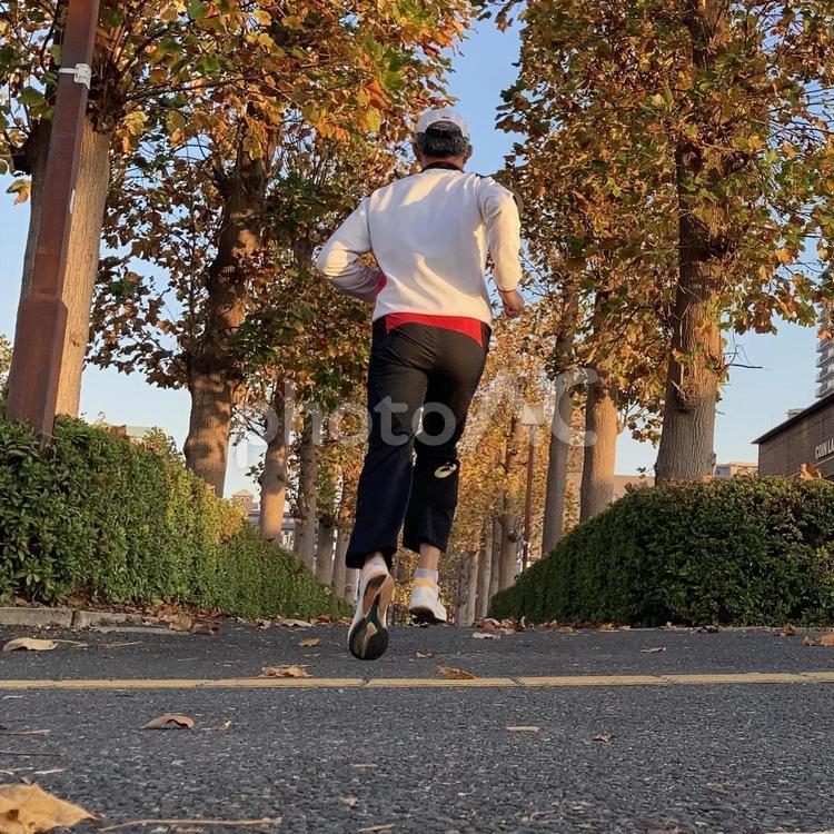 街路樹を見ながら走る男性 男,男性,ランニングの写真素材