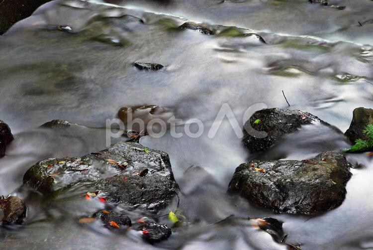 洒水の滝落ち葉 洒水の滝,神奈川県,流れの写真素材