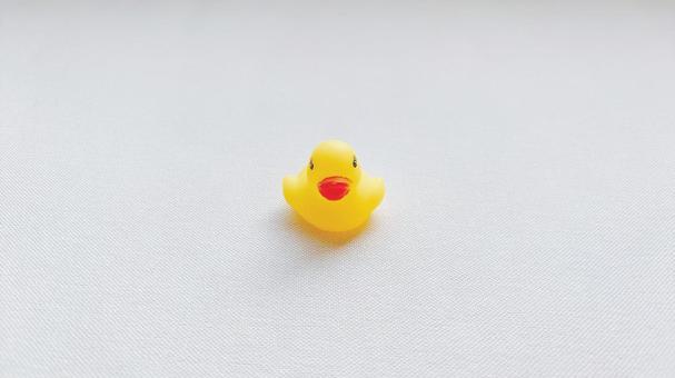 ひよこ(正面・1匹・よこ) ひよこ(正面・1匹・よこ)の写真
