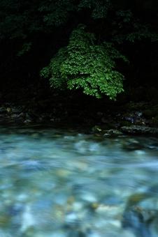 渓流 渓流の写真