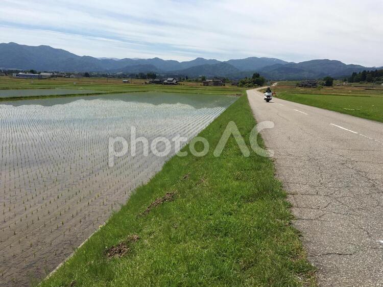 富山の田んぼ脇の道 ツーリング,旅,疾走の写真素材