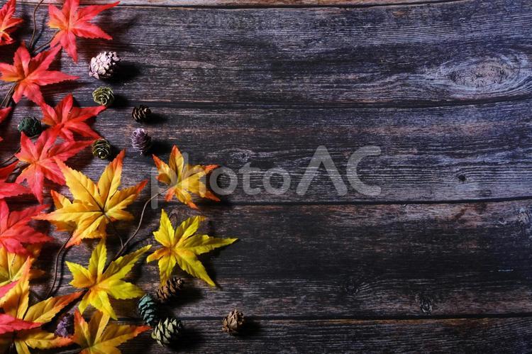 紅葉の背景素材〜木目背景4〜 紅葉,もみじ,かえでの写真素材
