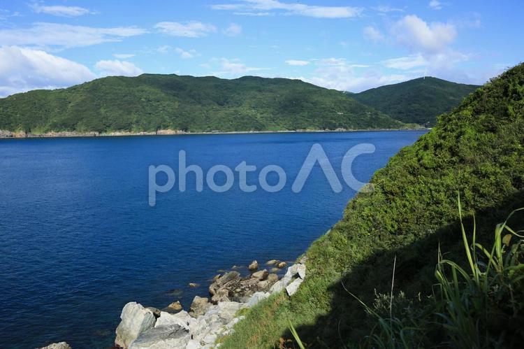 愛媛県伊方町　番匠鼻 番匠鼻,岬,半島の写真素材