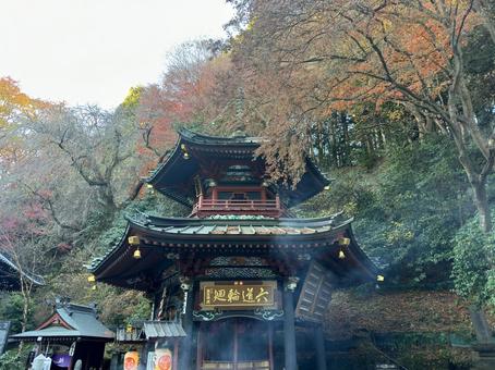 水澤観世音 水澤観世音 水澤観世音,水澤寺,石段の写真素材
