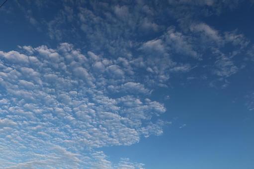 うろこ雲 うろこ雲,鱗雲,高積雲の写真素材