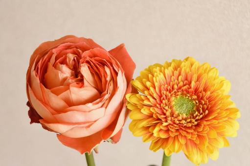 Roses and Gerberas, JPG Roses and Gerberas, JPG