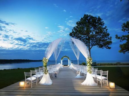 ナイトウェディング_AS000001の写真