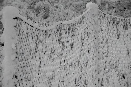 降雪の朝、雪に埋もれた、畑を囲むフェンス 雪景色,降雪の朝,幻想的の写真素材