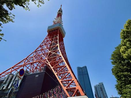 下からみた東京タワーと鯉のぼり 下からみた東京タワーと鯉のぼり 東京,東京タワー,観光の写真素材