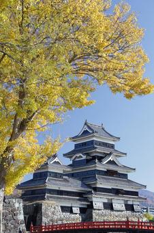 【長野県】秋の松本城 長野県,信州,松本市の写真素材
