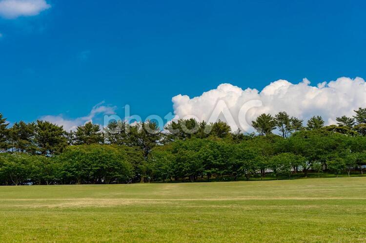 芝生の風景 芝生,青空,背景の写真素材