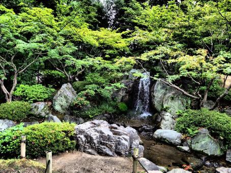 四天王寺本坊庭園滝 四天王寺本坊庭園滝 庭園,自然,和の写真素材