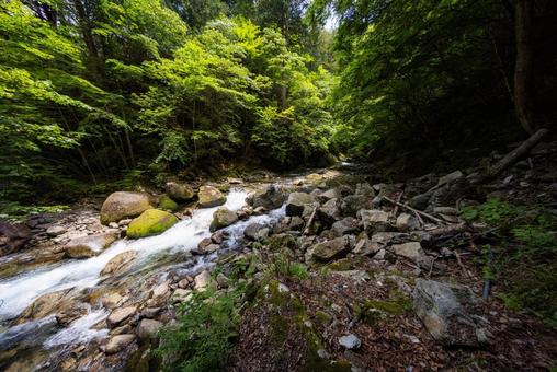 山の風景 山の風景の写真