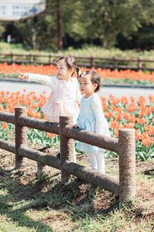チューリップと姉妹 チューリップと姉妹 チューリップ,春,4月の写真素材