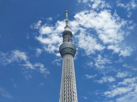 ふわふわとした綿のような雲 ふわふわとした綿のような雲の写真