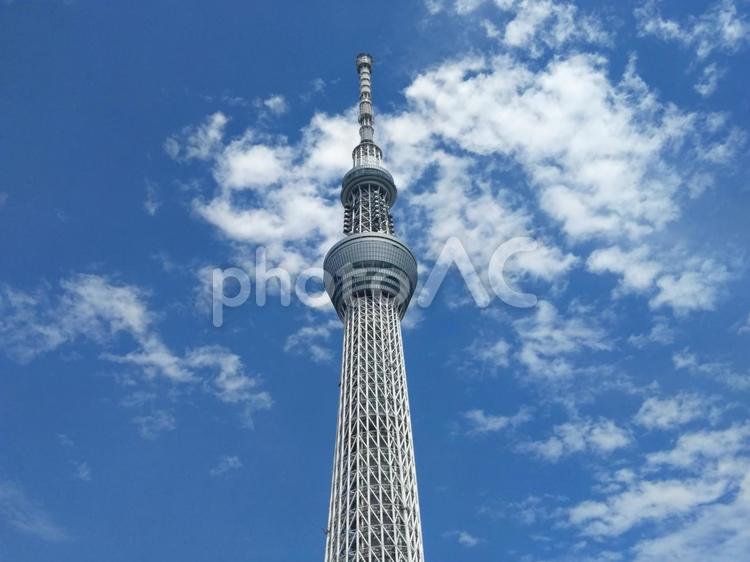 ふわふわとした綿のような雲 空,青空,雲の写真素材