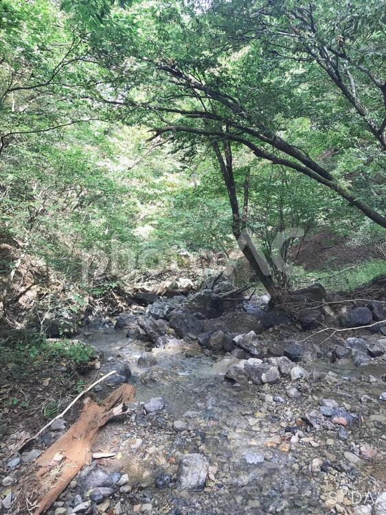 台風の跡 台風,台風の爪痕,登山道の写真素材