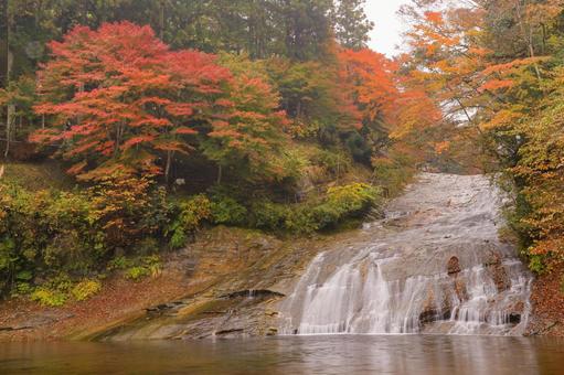 養老渓谷 養老渓谷,粟又の滝,滝の写真素材