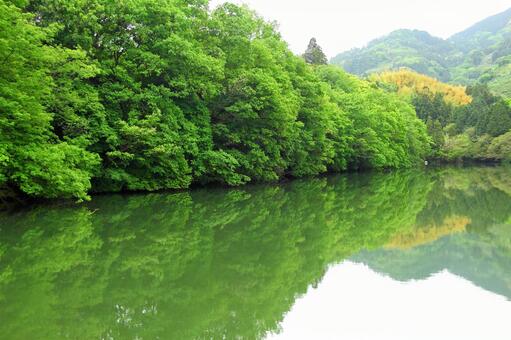 池 池の写真