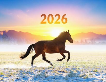 朝日に駆ける草原の馬 朝日に駆ける草原の馬の写真