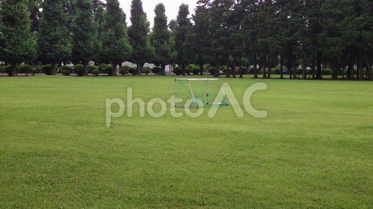 芝生の中に置かれたミニサッカーゴール 芝生,ゴール,サッカーゴールの写真素材