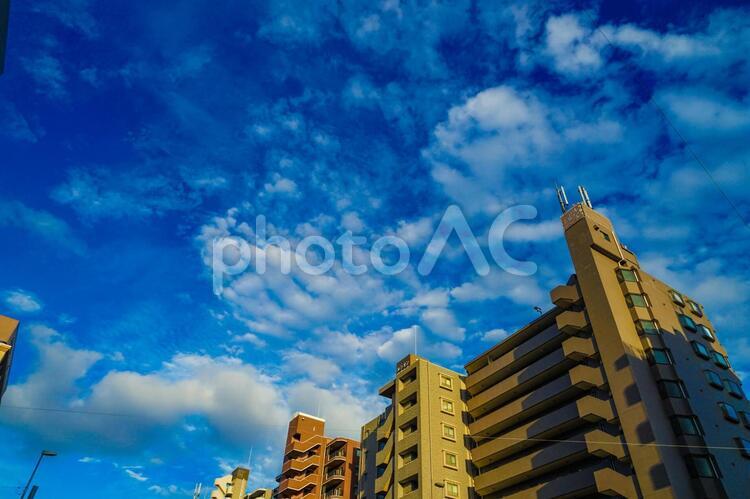 横浜の街並みと秋の空 横浜,みなとみらい,ビジネス街の写真素材
