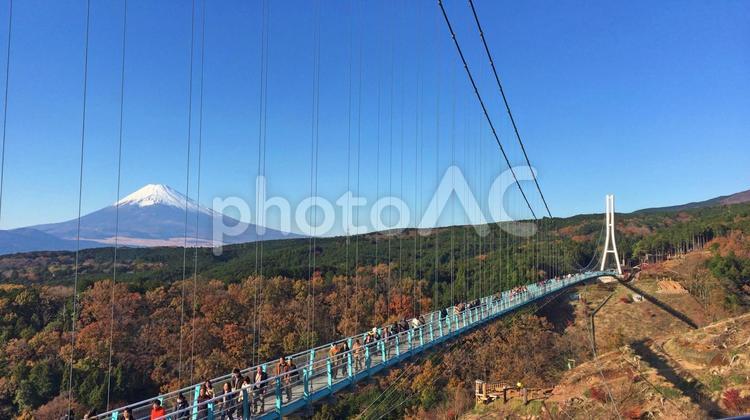 三島スカイウォークからの富士山の眺め 三島スカイウォーク,富士山,青空の写真素材