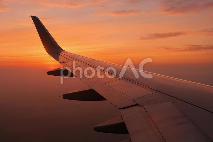 夕焼け空と飛行機の翼 飛行機,翼,夕焼けの写真素材