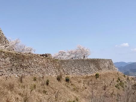 竹田城 竹田城 兵庫県,和田山,竹田城の写真素材