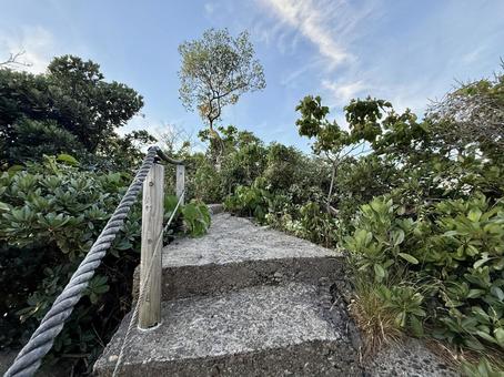 福井県鉾島 頂上の祠に続く道 福井県鉾島 頂上の祠に続く道 空,旅,断崖絶壁の写真素材