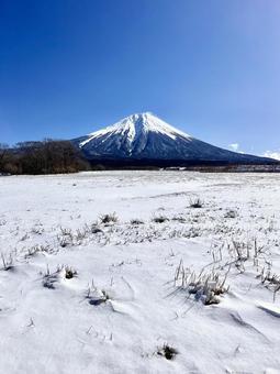 雪の大地と富士山 雪の大地と富士山 富士山,雪,冬の写真素材