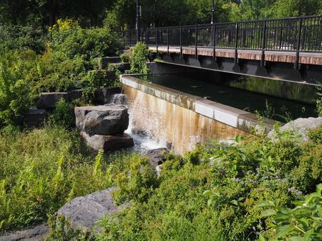 カナダモントリオールにある公園 公園,パーク,自然の写真素材