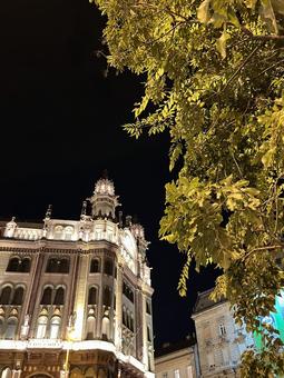 ハンガリー　ブダペストの夜景 夜景,ライトアップ,ヨーロッパの写真素材