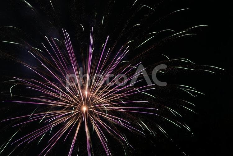 夏の夜を彩る打ち上げ花火 花火,打ち上げ花火,夏の写真素材