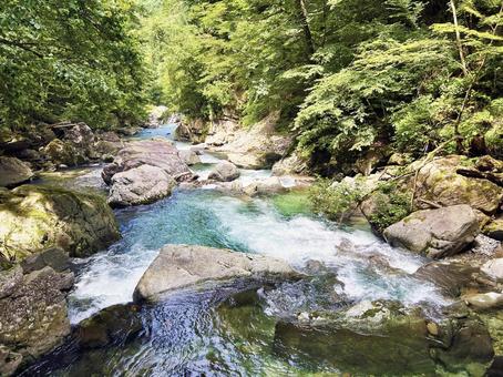 晴れた日の涼しげな渓流 晴れた日の涼しげな渓流 渓流,清流,河川の写真素材