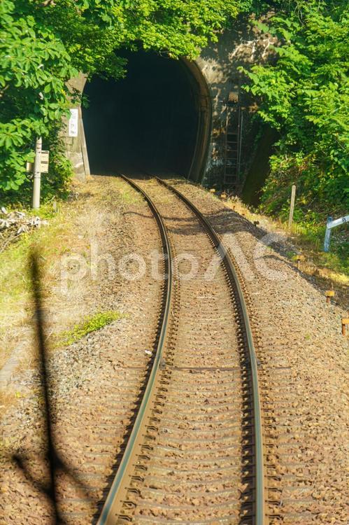 新緑の中を走る三陸鉄道の線路 鉄道,電車,列車の写真素材
