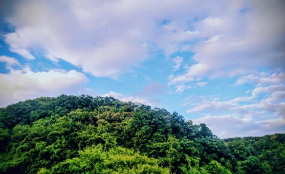 山 山の写真