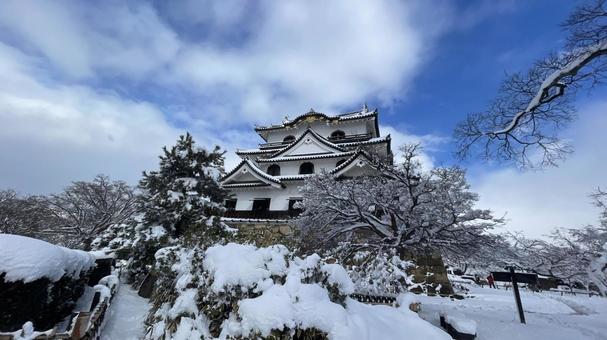 雪の彦根城天守 彦根城,現存十二天守,城の写真素材