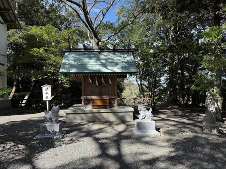 安房神社 安房神社 安房神社,千葉観光,南房総の写真素材