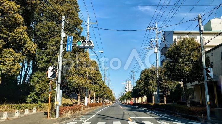 住宅街  交差点 交差点,住宅街,信号の写真素材