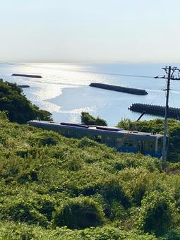 海辺の電車 海辺の電車の写真