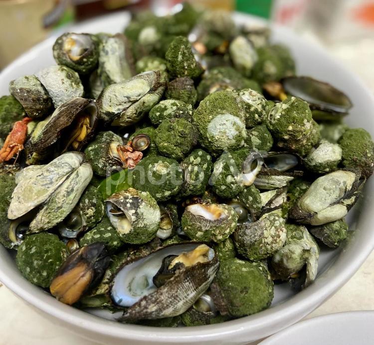 貝 貝,磯物,食べ物の写真素材
