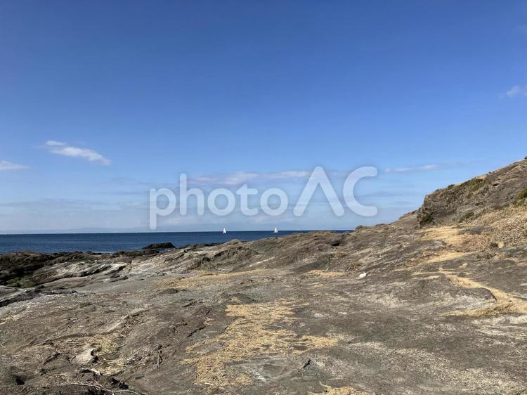 黒崎の鼻の磯風景 黒崎の鼻,磯,海岸の写真素材
