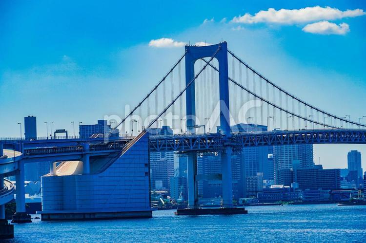有明北緑道公園から見える東京の街 有明北緑道公園,東京,ビル群の写真素材