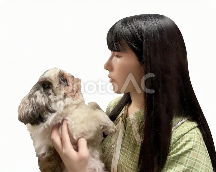 シーズー犬を抱っこする女性　白背景 犬,シーズー,女性の写真素材
