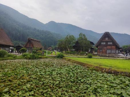 白川郷 白川郷の写真